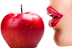 Bild von Microblading - Ausbildung - Lippen