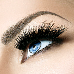 Bild von Lash Extension Ausbildung - Criss & Cross