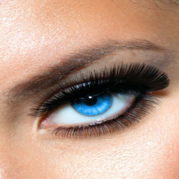 Zeige Details für Lash Extension Ausbildung - 3D Volumen  Bild von Lash Extension Ausbildung - 3D Volumen