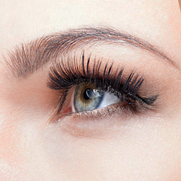 Zeige Details für Wimpernlaminierung Ausbildung Bild von Wimpernlaminierung Ausbildung