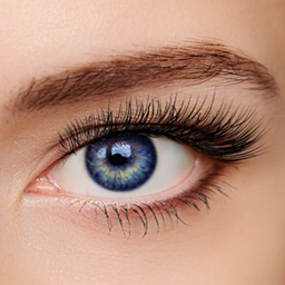 Zeige Details für Wimpernwelle Ausbildung  Bild von Wimpernwelle Ausbildung