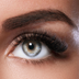 Bild von Eyebrow Extensions Ausbildung