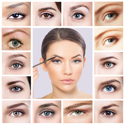 Zeige Details für Permanent Make up - Ausbildung - Augenbrauen - 3D Härchen Zeichnung Bild von Permanent Make up - Ausbildung - Augenbrauen - 3D Härchen Zeichnung