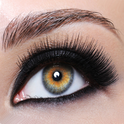 Zeige Details für Wimperverlängerung Ausbildung - Mega Volumen Bild von Wimperverlängerung Ausbildung - Mega Volumen