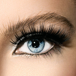 Zeige Details für Wimpernverlängerung Ausbildung - 3D Volumen  Bild von Wimpernverlängerung Ausbildung - 3D Volumen