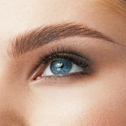 Zeige Details für Brows Lifting Ausbildung  Bild von Brows Lifting Ausbildung